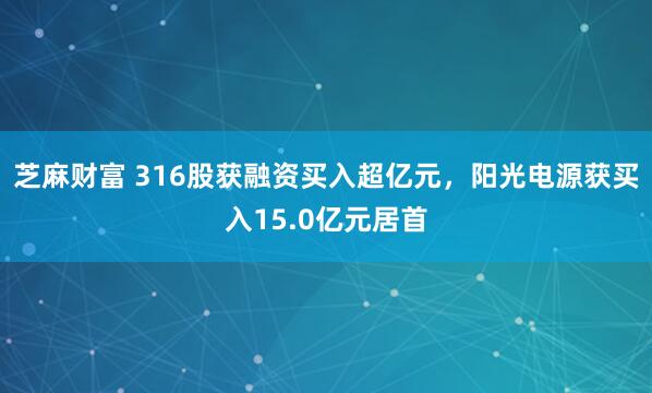 芝麻财富 316股获融资买入超亿元，阳光电源获买入15.0亿元居首