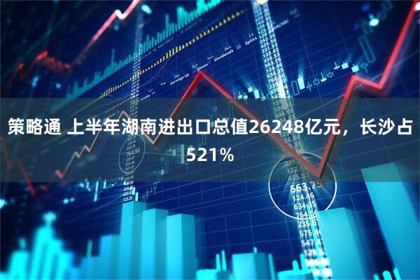 策略通 上半年湖南进出口总值26248亿元，长沙占521%