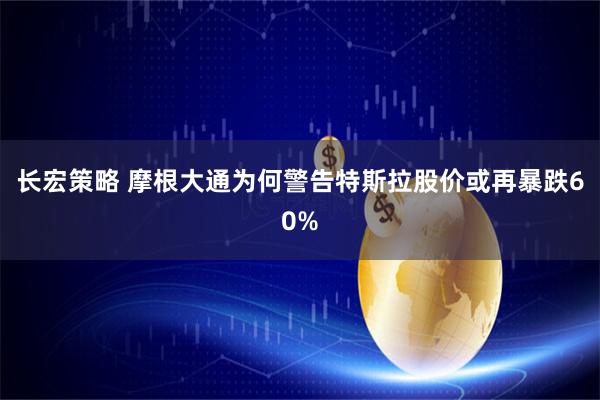 长宏策略 摩根大通为何警告特斯拉股价或再暴跌60%